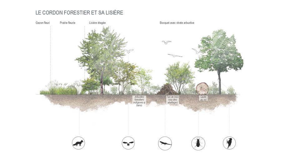 biodiversite-Lausanne-Gland-STEP